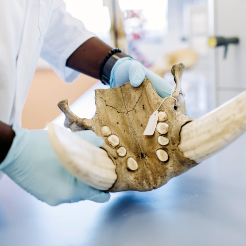 18/05/2021.B-Roll - day 4..All Rights Reserved - Helen Yates- T: +44 (0)7790805960.Local copyright law applies to all print & online usage. Fees charged will comply with standard space rates and usage for that country, region or state.