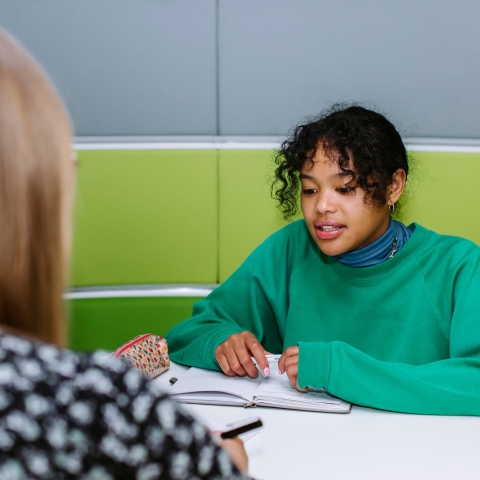 Student having a one on one tutor session