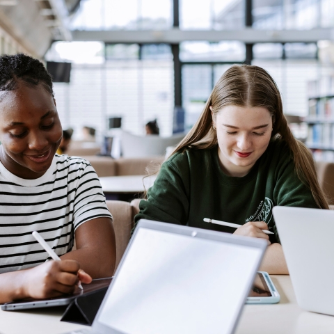 22/05/24.B-Roll/Clearing 2024 ...All Rights Reserved - Helen Yates- T: +44 (0)7790805960.Local copyright law applies to all print & online usage. Fees charged will comply with standard space rates and usage for that country, region or state.