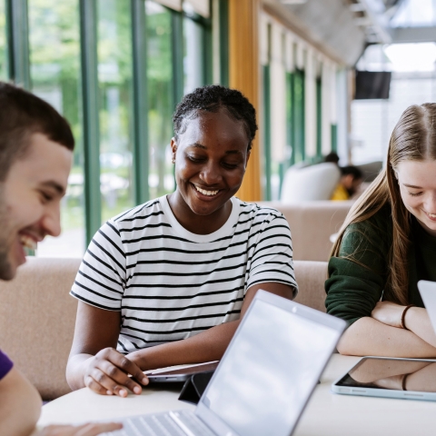 22/05/24.B-Roll/Clearing 2024 ...All Rights Reserved - Helen Yates- T: +44 (0)7790805960.Local copyright law applies to all print & online usage. Fees charged will comply with standard space rates and usage for that country, region or state.