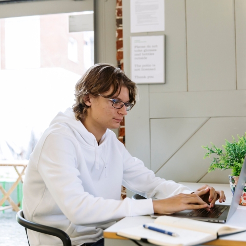 City Guide - Aspex Gallery