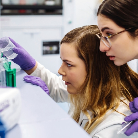 16th & 17th January 2019
Centre for Enzyme Innovation Bid