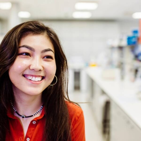 Student Case Studies, Open Day, 1st December 2018