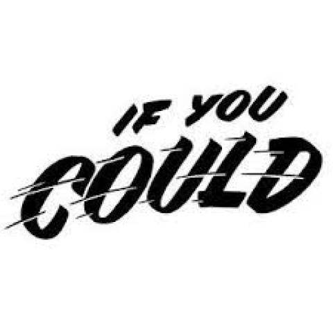 if you could