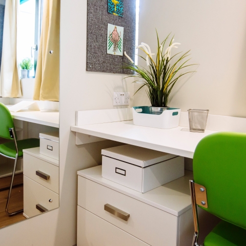 Student halls bedroom with decorative plant