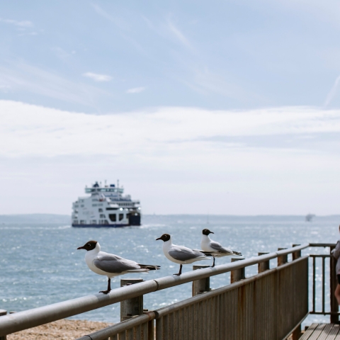 Ferry in the sea