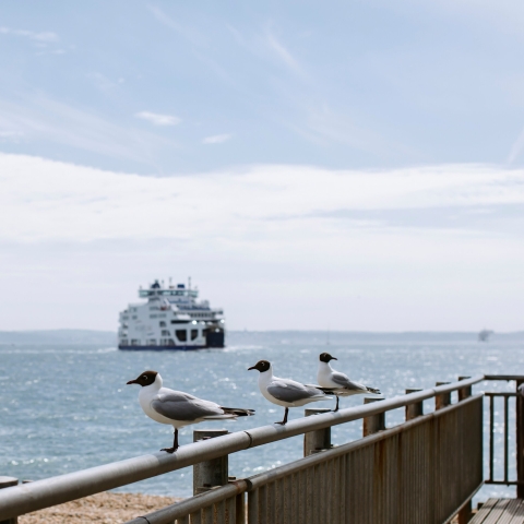 Ferry in the sea