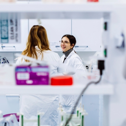 16th & 17th January 2019
Centre for Enzyme Innovation Bid