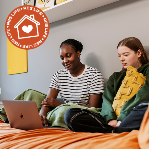 Res Life teaser image showing two students in a halls bedroom looking at a laptop
