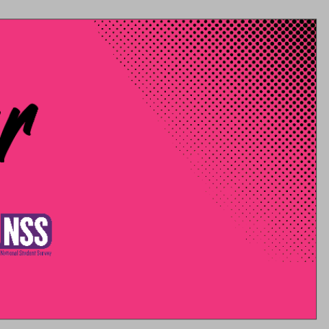 National Student Survey