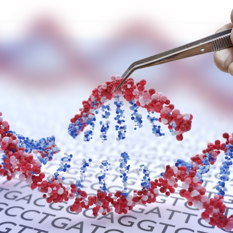 Molecular structure model