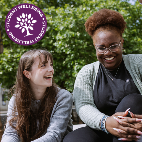 Student Wellbeing teaser image showing two students sitting on steps and laughing