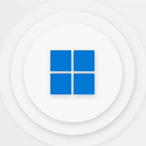 Windows 11 logo