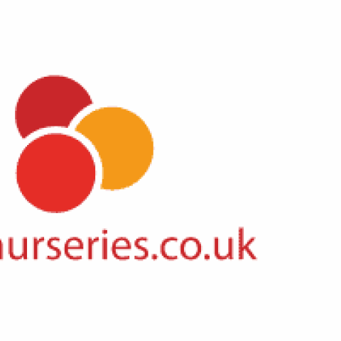 Day Nurseries logo