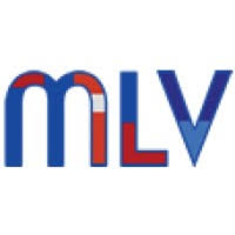 multilingualvacancies