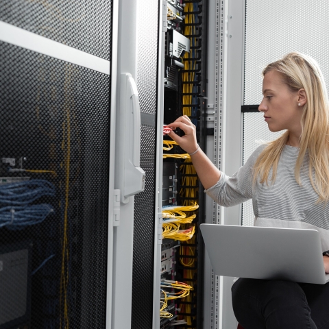 STANDARD LICENSE; PLEASE SEE ADDITIONAL ASSET FOR FULL LICENSE TERMS.