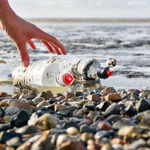 Plastic bottles on beach