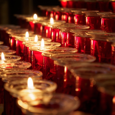 STANDARD LICENSE; PLEASE SEE ADDITIONAL ASSET FOR FULL LICENSE TERMS.