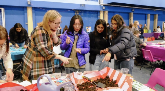 Students gardening