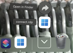 Run downloaded software