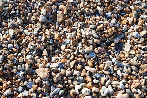 Craft Wednesdays - Pebble Painting