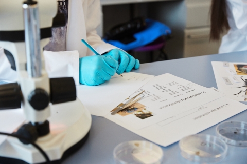 RAO Up for Uni Residential 2023 - Day Two