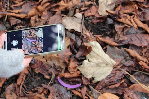 Using the Jetsam app for a plastic survey