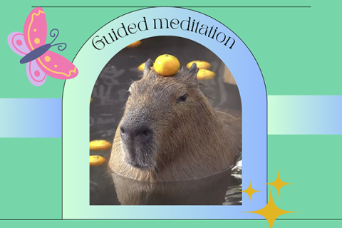Guided meditation