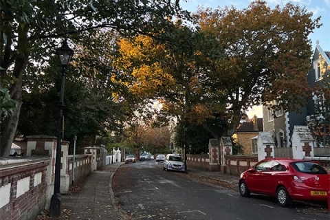 Tree lined city street with blue skies