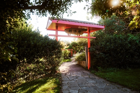 Red archway in garden
Southsea Rose Garden - City Guide 2022