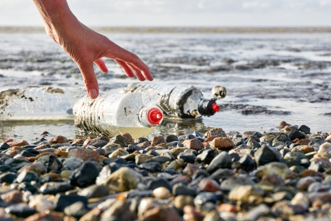 Plastic bottles on beach