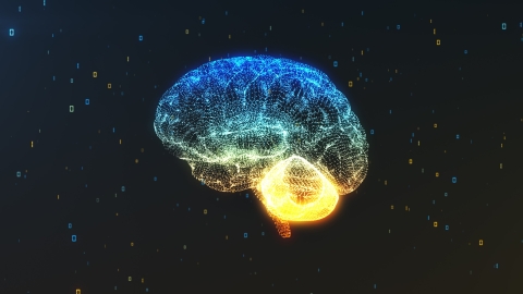 Brain rendering with neural connections