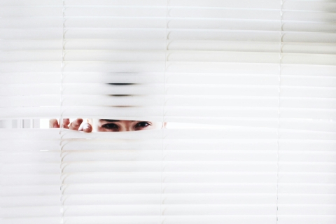 Spying through blinds