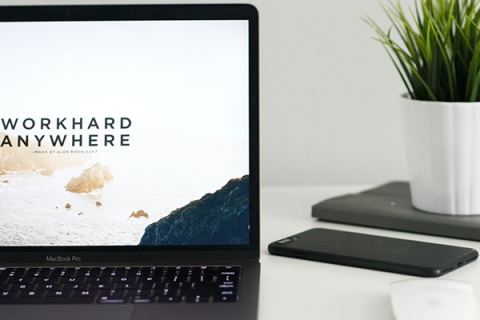 Laptop on a desk with a plant