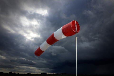 STANDARD LICENSE; PLEASE SEE ADDITIONAL ASSET FOR FULL LICENSE TERMS.