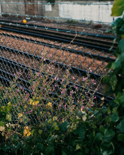 A Stones Throw 2 - Karl Bailey