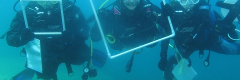 three people diving whilst posing for a photograph