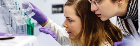 16th & 17th January 2019
Centre for Enzyme Innovation Bid