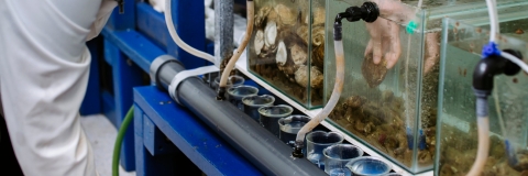 IMS Pontoon; 18th June 2019