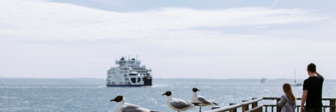 Ferry in the sea