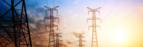 STANDARD LICENSE; PLEASE SEE ADDITIONAL ASSET FOR FULL LICENSE TERMS.