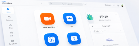 Zoom workplace interface