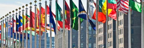 STANDARD LICENSE; PLEASE SEE ADDITIONAL ASSET FOR FULL LICENSE TERMS.Flags of all nations outside the UN in New York City.