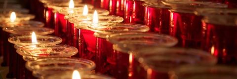 STANDARD LICENSE; PLEASE SEE ADDITIONAL ASSET FOR FULL LICENSE TERMS.