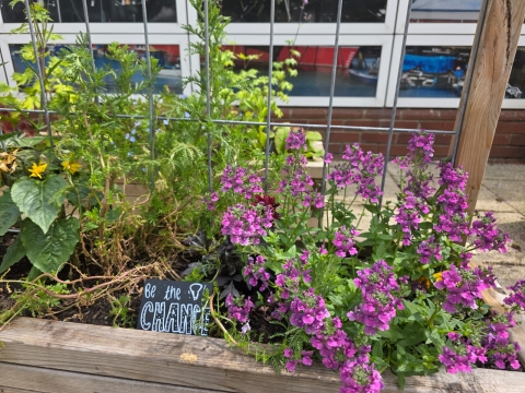 Flower and plant arrangement in planter