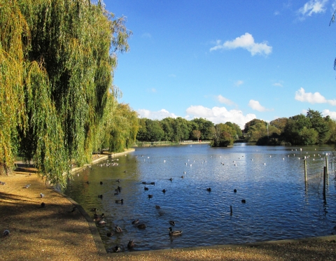 Baffins Pond