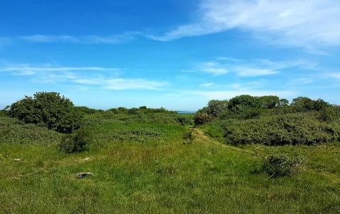 Milton Common