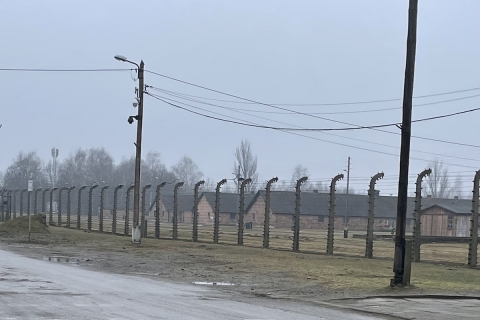 Auschwitz fence