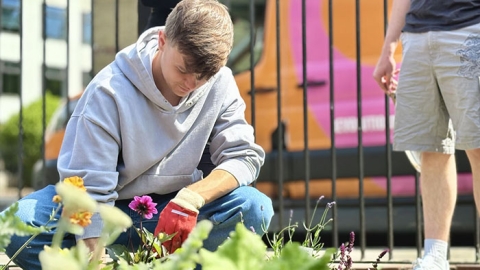 Student working on flower bed at milldam