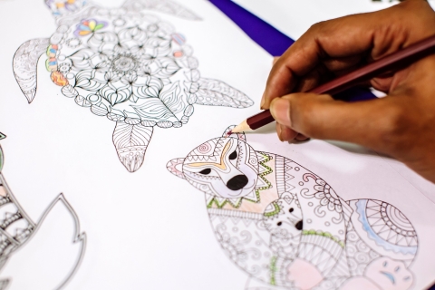 6th February 2019; Feel Good Festival